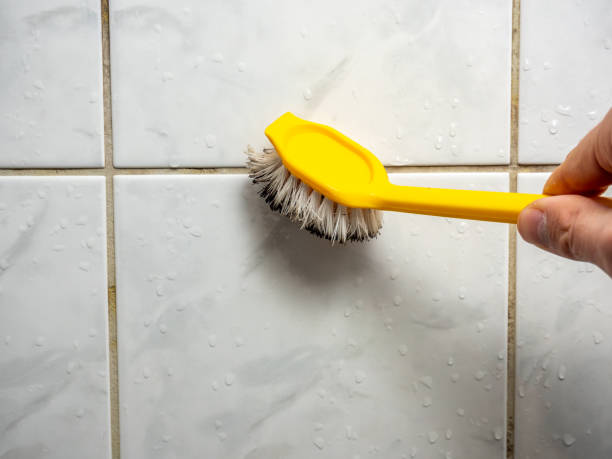 Best Mold Remediation  in Hays, KS