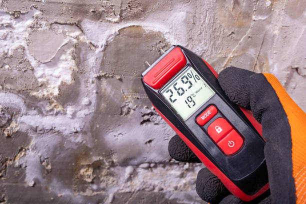 Best Professional Mold Removal  in Hays, KS