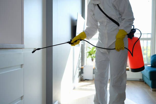 Best Residential Mold Removal  in Hays, KS