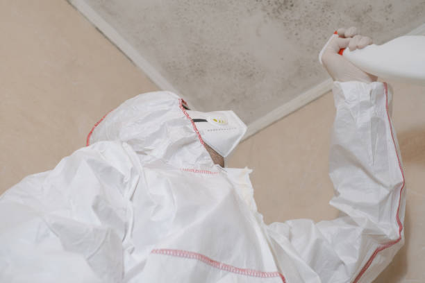 Best Commercial Mold Removal  in Hays, KS