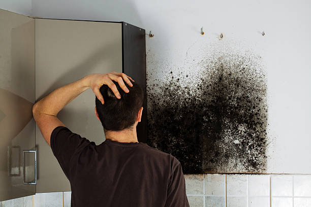 Mold Removal Process in Hays, KS