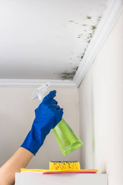 Best Mold Testing  in Hays, KS
